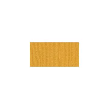 Bazzill Mono Cardstock 12"X12" Beeswax/Canvas