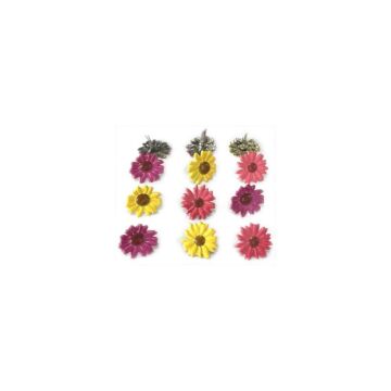 Eyelet Outlet Shape Brads 12/Pkg Colored Daisy