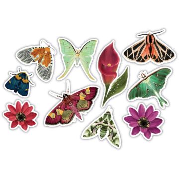 Craft Consortium Laser-Cut Wooden Shapes 10/Pkg Midnight Flight
