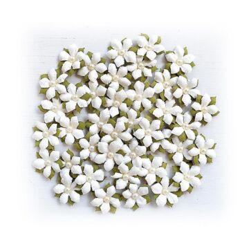 Little Birdie Elira Paper Flowers 40/Pkg-Shabby Chic