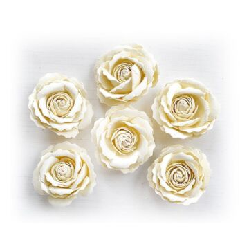 Little Birdie Ellis Paper Flowers 6/Pkg-Shabby Chic