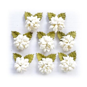 Little Birdie Julita Paper Flowers 8/Pkg-Shabby Chic