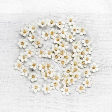 Nicole Crafts Little Birdie Beaded Micro Petals 60/Pkg Moon Light