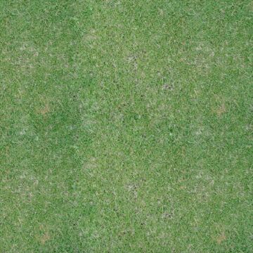 Scrapbook Customs Grass Paper 12x12