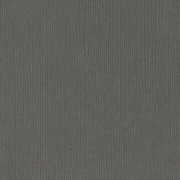 Bazzill Fourz Cardstock 12" Zinc