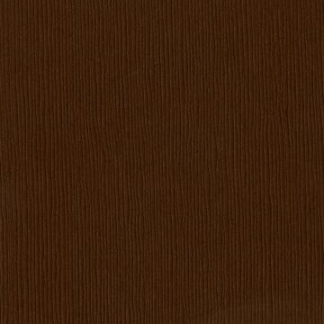 Bazzill Fourz Cardstock 12" Mocha Divine