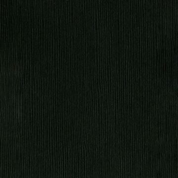 Bazzill Fourz Cardstock 12" Blackbird