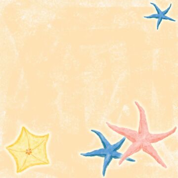 Scrapbook Customs Star Fish Paper 12 x 12