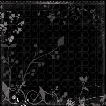 Scrapbook Customs - Single Sided Paper 12 x 12 - Wedding - Black