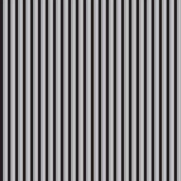 Scrapbook Customs - Single Sided Paper 12 x 12 - Wedding - Stripe