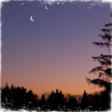 Preorder Scrapbook Customs New Moon Paper