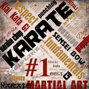 Scrapbook Customs - Karate Extreme (Paper 12 x 12)