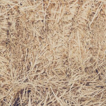 Scrapbook Customs - Single Sided Paper 12 x 12 - Vintage Straw Background