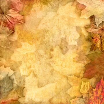 Scrapbook Customs - Single Sided Paper 12 x 12 - Vintage Leaves