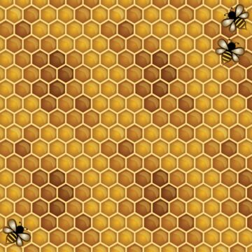Scrapbook Customs - Honeycomb & Bees (Paper 12 x 12)