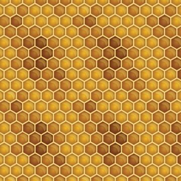 Scrapbook Customs - Honeycomb (Paper 12 x 12)