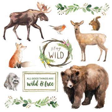 Scrapbook Customs - 12 x 12 Paper - NPWC Stay Wild Cut Out 