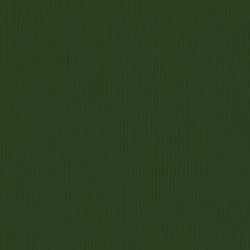 Bazzill Fourz Cardstock 12" Avocado
