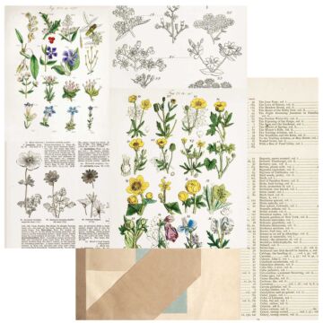 49 and Market Curators Botanical Double-Sided Cardstock 12"X12"-Pressed Petals