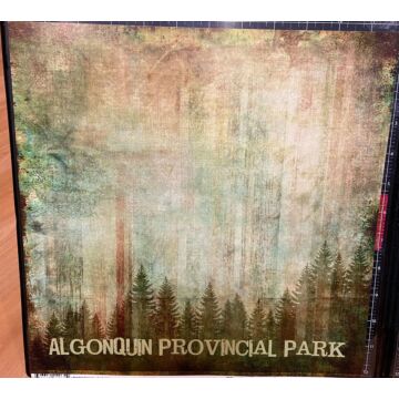 Scrapbook Customs - Single Sided Paper 12 x 12 - Painted Forest Left (Custom) Algonquin Provincial Park