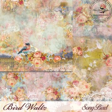 Blue Fern Studios - Bird Waltz 12x12 Paper - Song Bird