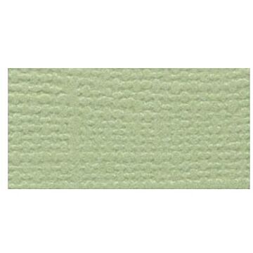 Bazzill Basics 12X12 Fourz Cardstock, Spring Breeze