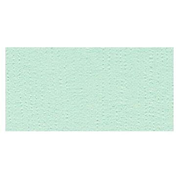 Bazzill Basics12X12 Fourz Cardstock, Turquoise Mist