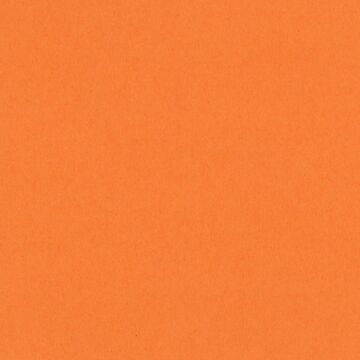 Bazzill 12X12 Smoothies Cardstock