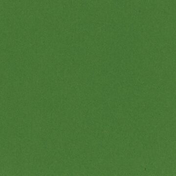 Bazzill Basics 12X12 Smoothies Cardstock, Kiwi Crush