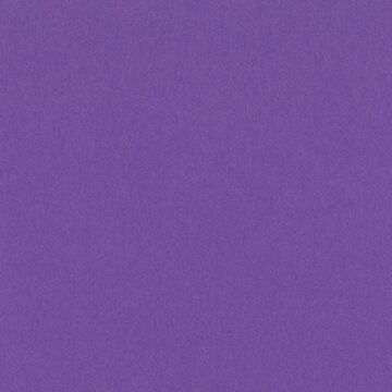Bazzill 12X12 Smoothies Cardstock, Grape Delight