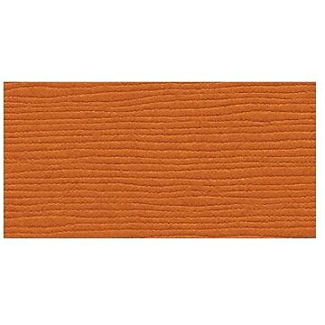 Bazzill Basics 12X12 Fourz Cardstock, Tangelo