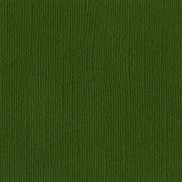 Bazzill 12x12 Mono Cardstock, Ivy (Canvas)