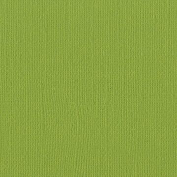 Bazzill Basics 12X12 Mono Cardstock, Parakeet (Canvas)