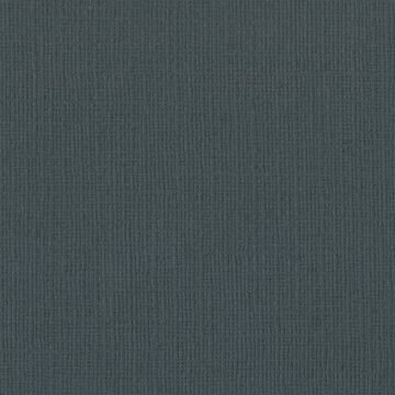 Bazzill Basics 12X12 Mono Cardstock, Thunder (Canvas)