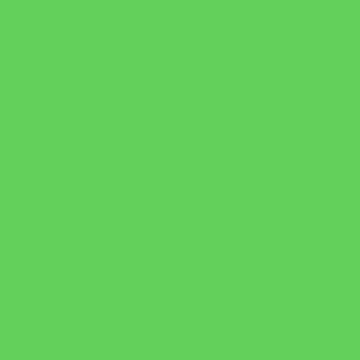 Bazzill - 12X12 Smoothies Cardstock, New Leaf