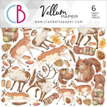Ciao Bella 6X6 Fussy Cut Vellum Paper Pack, Into the Wild