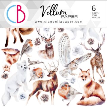Ciao Bella 6X6 Fussy Cut Vellum Paper Pack, Winter Journey