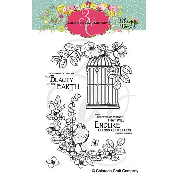 Colorado Craft Company Clear Stamp, Whimsy World - Life Lasts