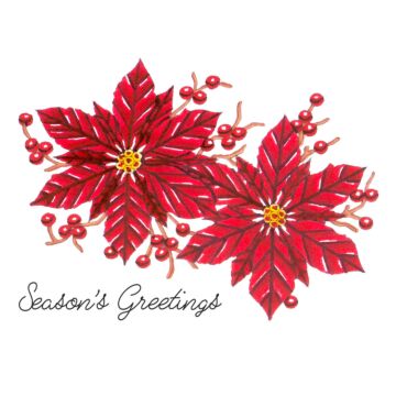 Couture Creations Stamp & Color Outline Stamp, DTH - Poinsettia Greetings
