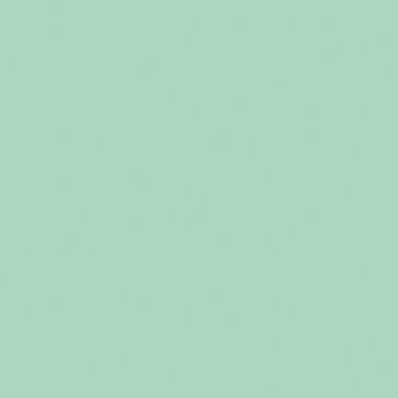 Kaisercraft Weave Texture Cardstock 12"X12" Peppermint
