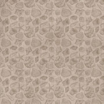 Kaisercraft 12X12 Patterned Paper, Coastline - Sandy Shells