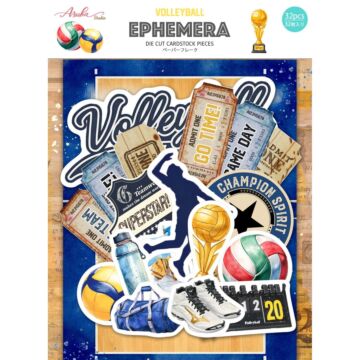 Memory Place Volleyball Ephemera