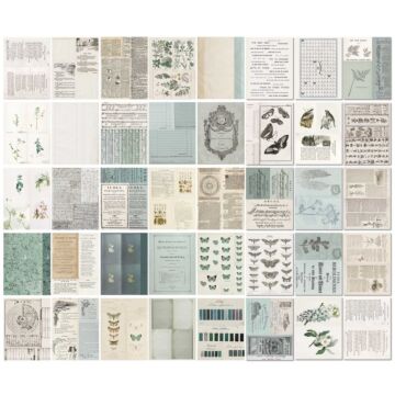 49 and Market Collage Sheets, Color Swatch: Eucalyptus