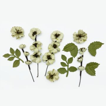 49 and Market Wildflowers, Celery