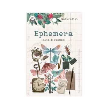 P13 Ephemera, Naturalist (13pc)