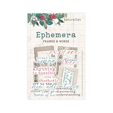 P13 Ephemera, Naturalist - Frames and Words (13pc)
