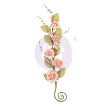 Prima Flowers, Capri - Susanna