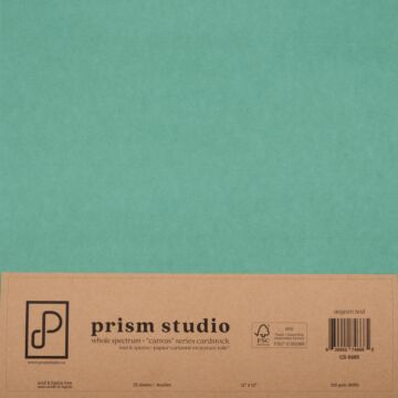 Pre-Order Prism Studio 12X12 Whole Spectrum "Canvas" Series Textured Cardstock, Aegean Teal (25 Sheets)