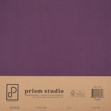 Pre-Order Prism Studio 12X12 Whole Spectrum "Canvas" Series Textured Cardstock, Regal Violet (25 Sheets)