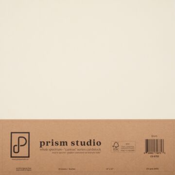 Pre-Order Prism Studio 12X12 Whole Spectrum "Canvas" Series Textured Cardstock, Linen (25 Sheets)